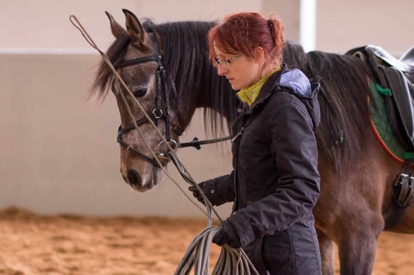 Tout ce qu'il faut savoir sur la selle cheval
