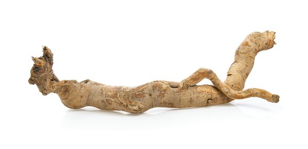 Tongkat Ali : le meilleur ami des sportifs